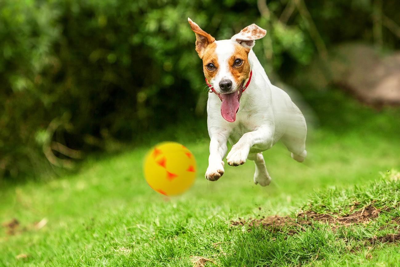 zabawka-pilka-trojkaty-happet-57mm-zolta